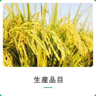 生産品目