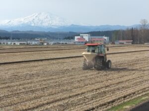 土壌改良剤散布してます。美味しいお米づくりはさづくりからです。